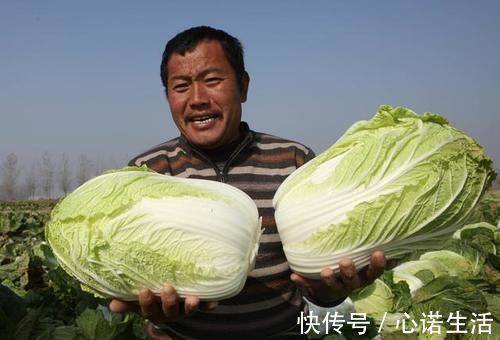 蔬菜|过年买年货,家里再穷,也要备齐这5种蔬菜,寓意来年财源滚滚