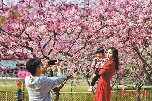 福州踏春赏花季，“乡”约打卡去