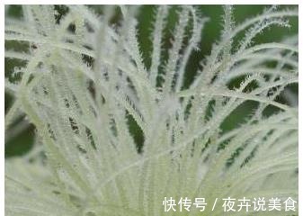 妇科炎症|医生不会告诉你,妇科炎症最怕这几种东西,消炎杀菌排毒护卵巢