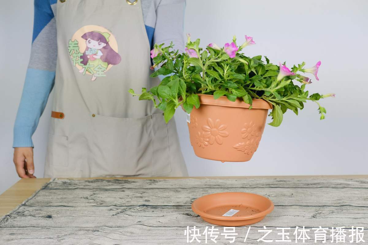 教你一些浇水的方法,从此浇花不再盲目,花长得又快又旺!