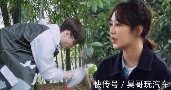 黃磊|黃磊不讓李雪琴種樹,讓張藝興種樹幫楊紫還債,好有正當(dāng)理由提親