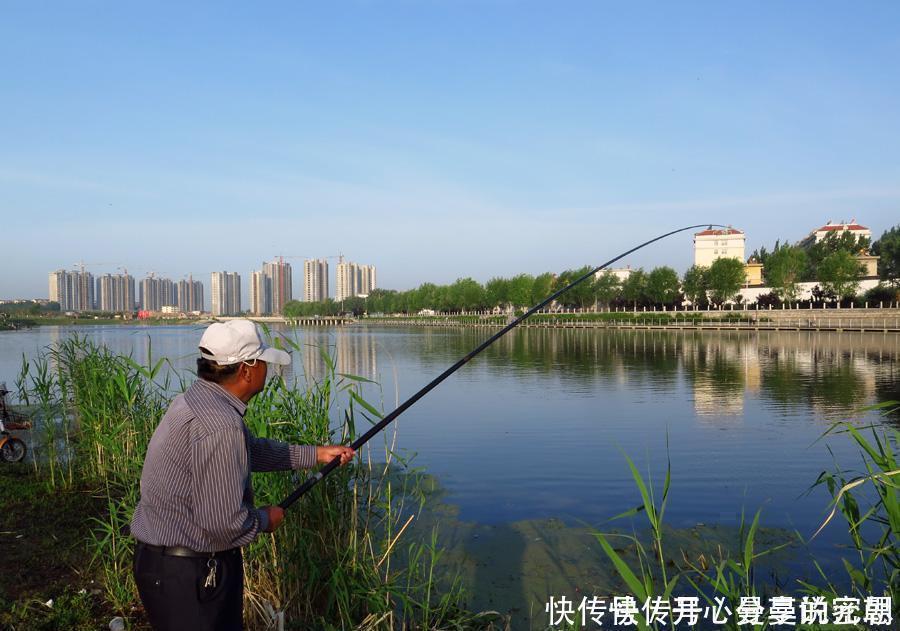 野钓时,钓椅、钓箱、马扎哪个更实用听听老钓友怎么说