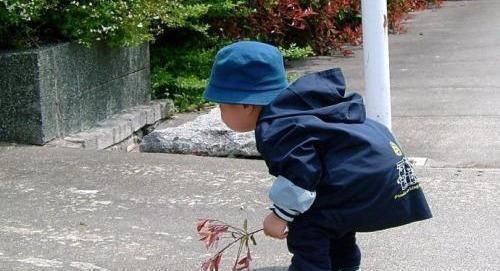 求知欲|孩子从小有这3个特征,说明智力发育好,长大后更容易有出息!