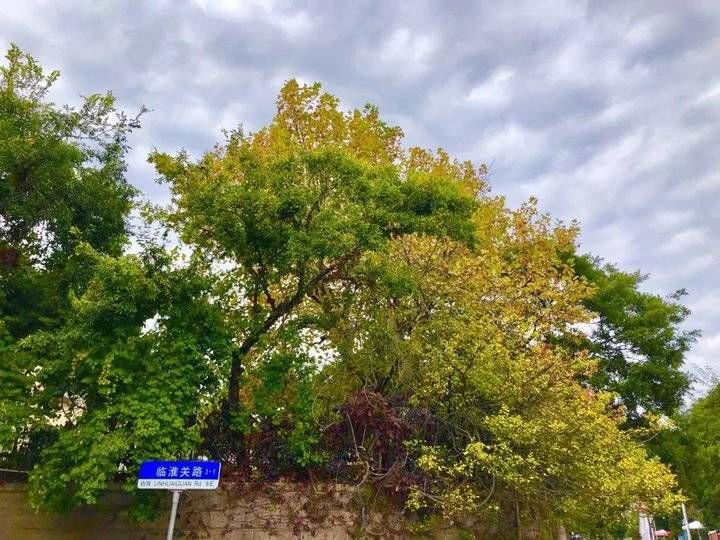  居庸关路|又一条冬日旅行路线将爆红！媲美贝加尔湖的湛蓝大海