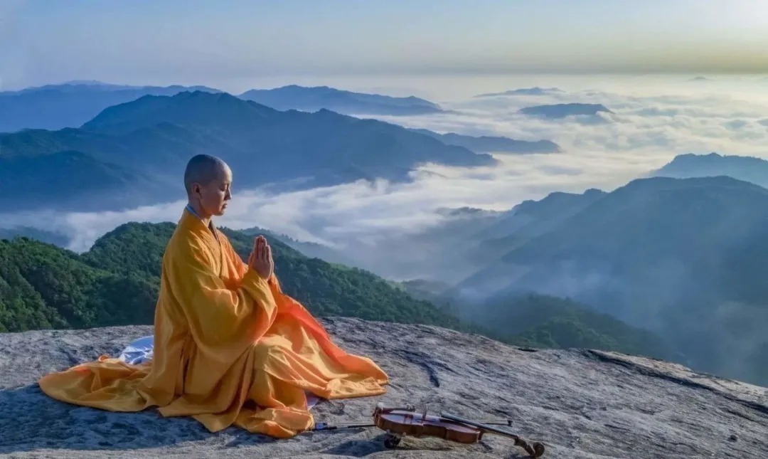 梅花@宋代一个尼姑春日里的一首诗,留下千古名句“春在枝头已十分”