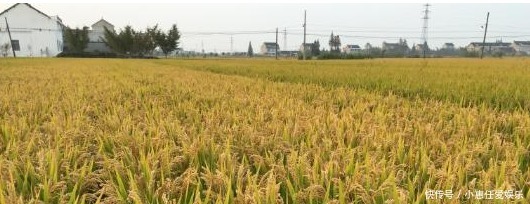 发起|明朝有位皇帝发起一场改革,本可改变国运,却被雍正捡便宜