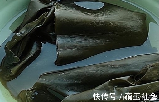 泡海带时,直接用水泡就“废”了,跟着我做,海带干净无腥味