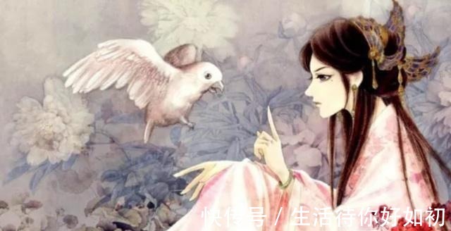 林初九|5本穿越重生文推荐,既然做不了闲人,那就鸿鹄展翅凤鸣九天!