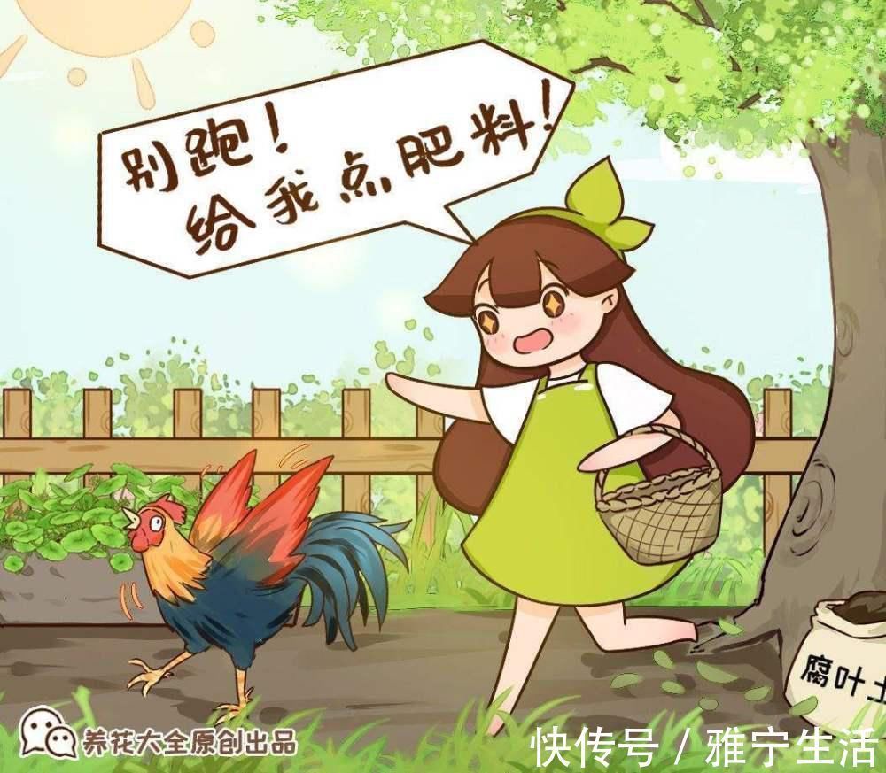 高手|你了解养花肥料吗?肥料知识大全,学会你就是养花高手!