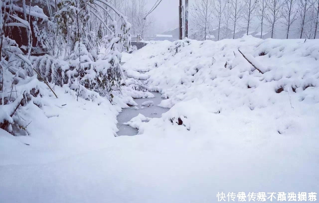 日暮苍山|刘长卿很简练的一首诗，没有引经据典，没有使用生僻字，同样写得很深刻