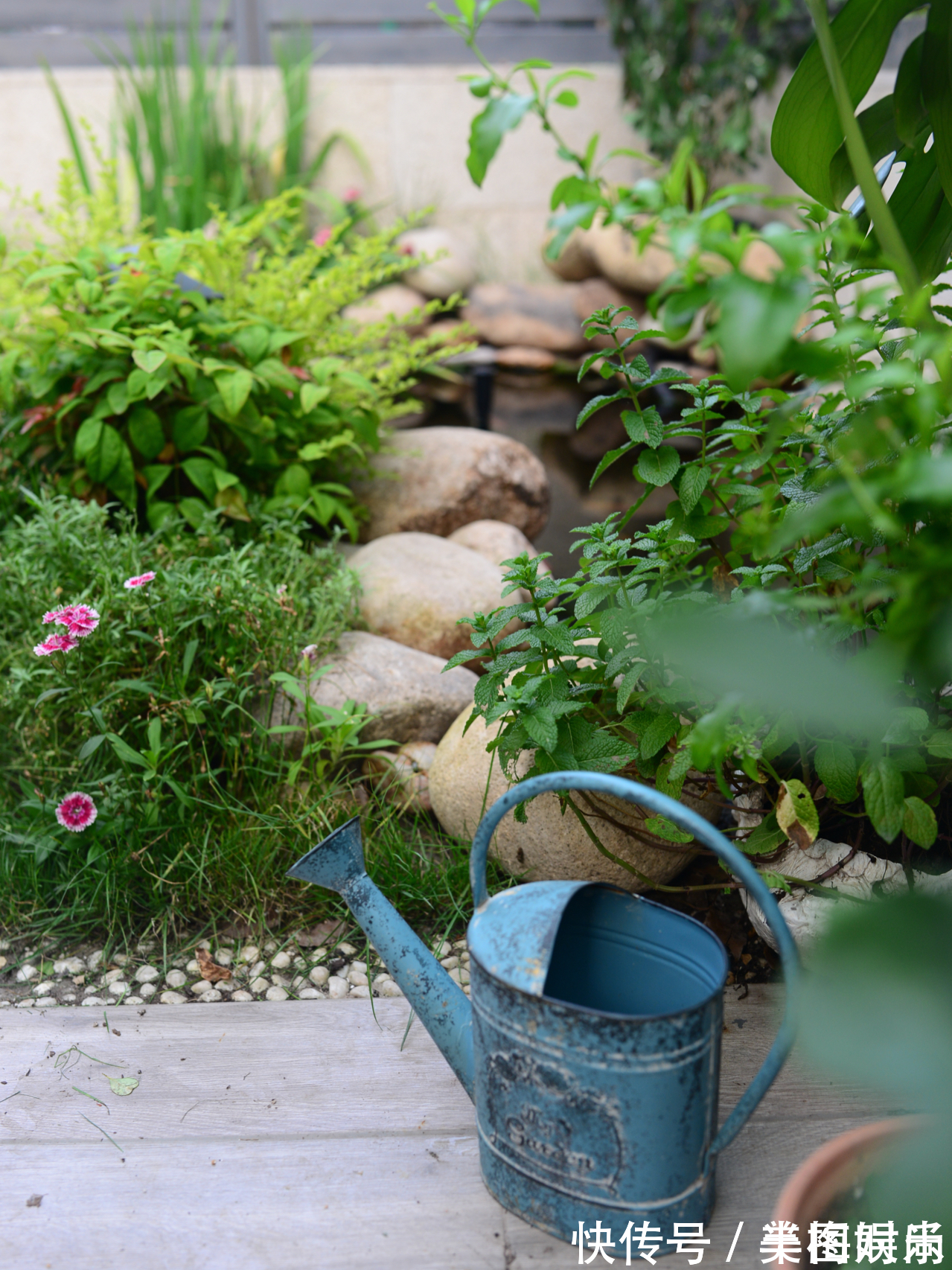 花一万元,在院子里建了个“原生态鱼池”,太漂亮了!