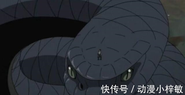 青蛇|火影 宇智波佐助当初为什么选择青蛇当通灵兽, 而不是辛牙呢