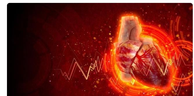  心脏|心脏不好的人，三个部位会“通知”你！送你一句养心“口诀”