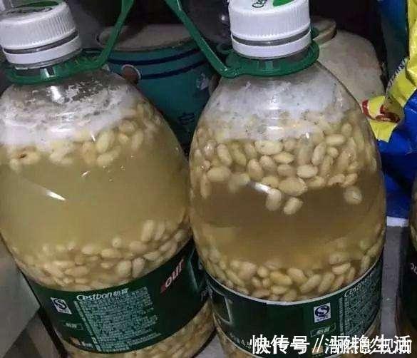 鱼鳞|花肥其实自己就能做,省钱又好用,养花效果棒