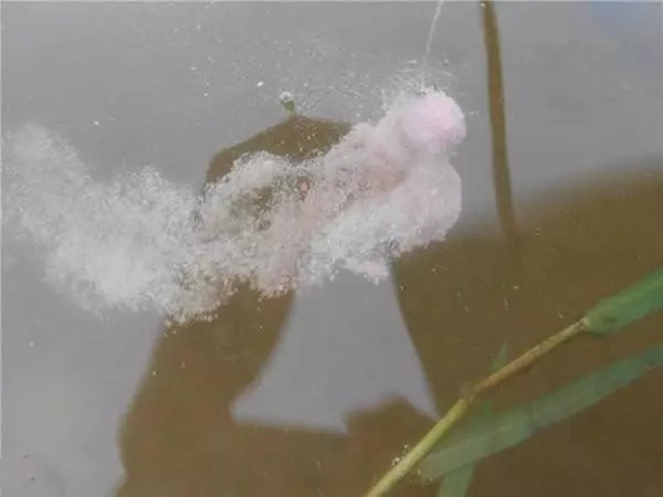 饵料的入水雾化状态,可以通过这些方法来调整,想怎么钓鱼都随你便!