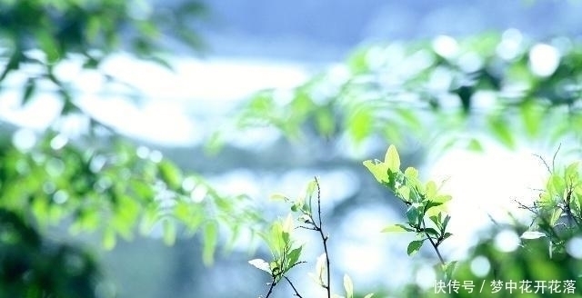 天涯!李商隐一首经典五绝《天涯》,无一字不唯美,无一字不伤悲