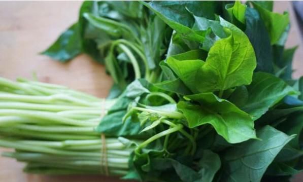农村没人吃的一种植物的叶子,却被誉蔬菜皇后,大部分人不知道