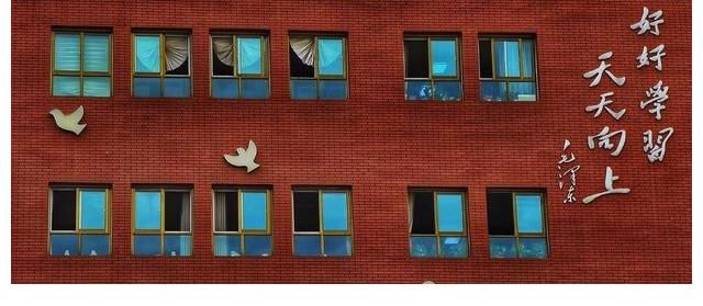 天天向上改編，偌大主播間只有汪涵一人