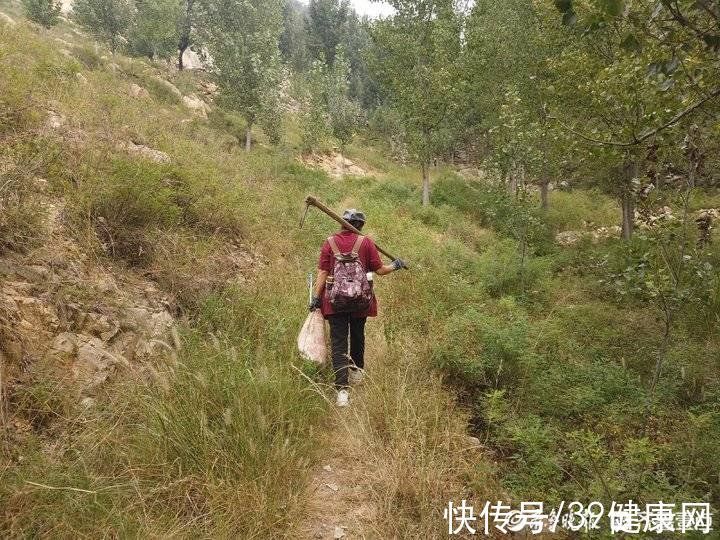 dn32岁复旦女博士患癌,8次化疗离世,她死前的一个反思,令人警醒