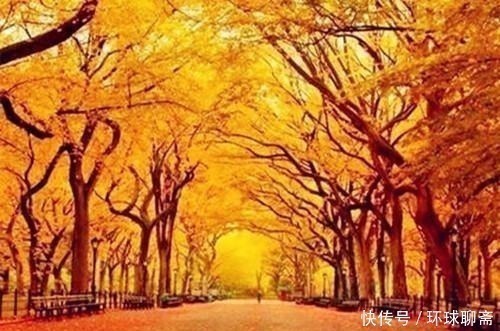 玉楼&断鸿渺渺空银海,疏雨潇潇满玉楼;八首七律诗,已是天凉好个秋