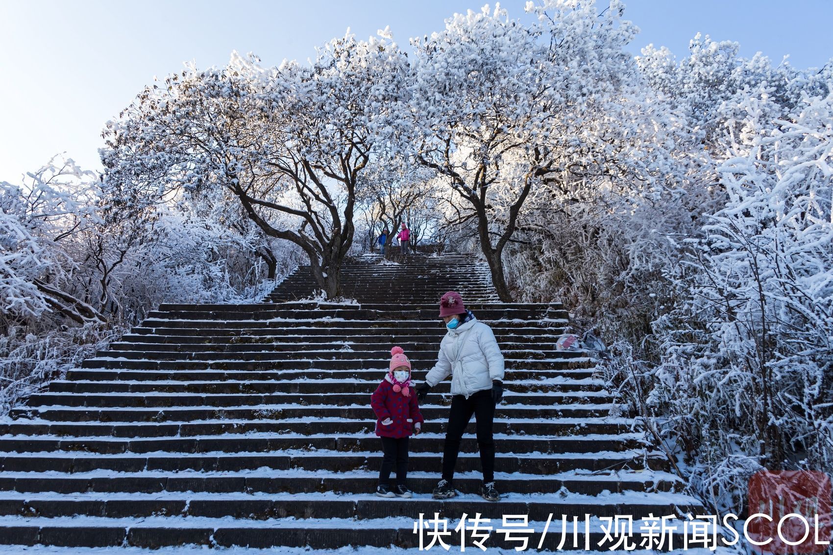 白雪|白雪+雾凇 绵阳千佛山变身“童话世界”