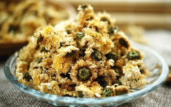 菊花|菊花和此物一起泡水喝,白天不犯困了,明亮双目,减少脂肪堆积