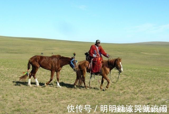 旅游|为什么国人不愿意去临国蒙古旅游 网友给出的答案很客观现实