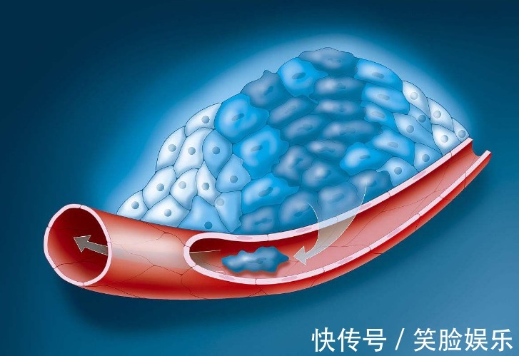 秘方|红薯、山药靠边站,它才是地下宝物!百岁老人都在用的长寿秘方!