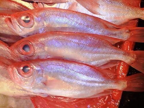 内行人|买鱼时,内行人从不买这5种鱼,浪费钱还没营养,老板自己都不吃