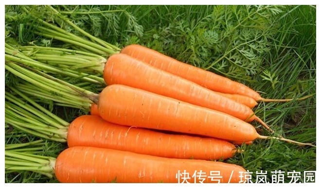 酸奶|经常喝酒的人,在喝酒时,提醒:这几种食物尽量不要吃