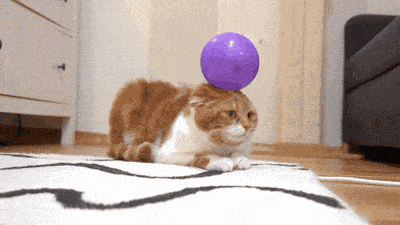 冬天為什么不打雷？莫非天太冷，雷公也貓冬？