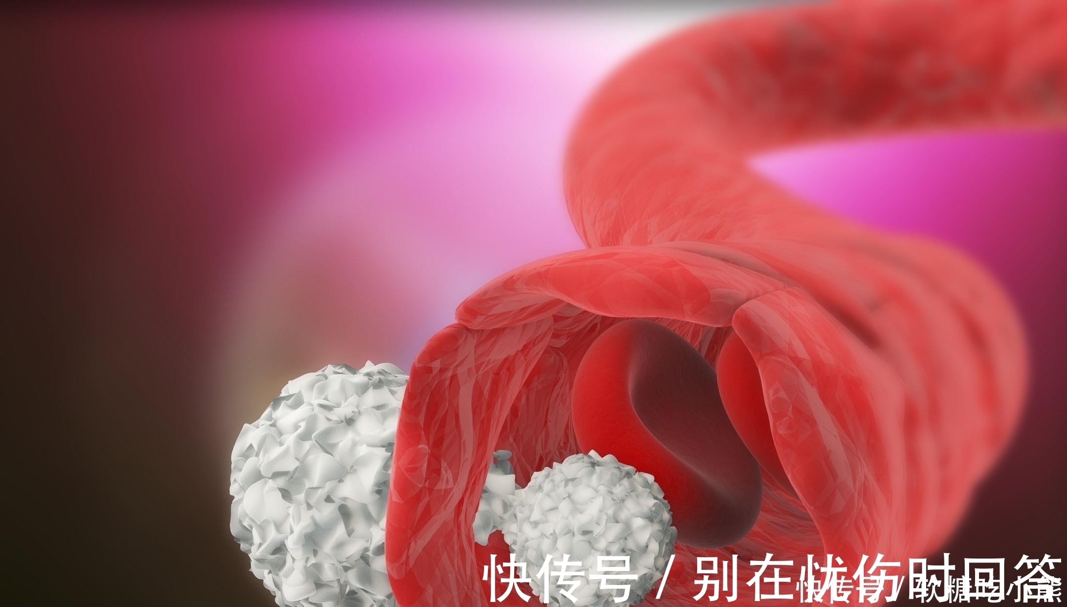 黄芪泡水|黄芪和它“天作之合”，用来泡水喝，血管通畅，肝肾也许笑开颜