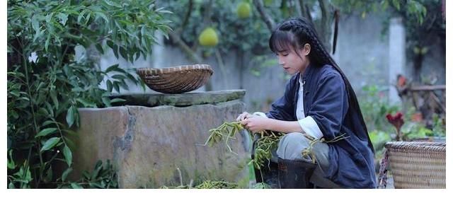 干活|李子柒在地里干活,她的名字却上热搜了