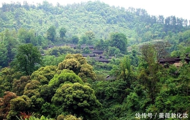 大山深处鲜为人知的世外桃源，堪称人间仙境！