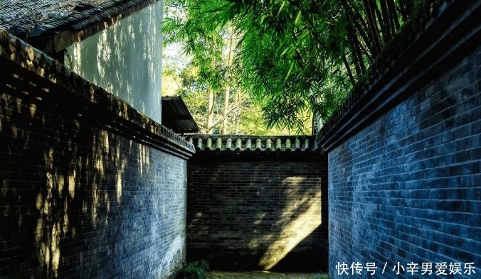 经济学家|民国经济学家,为一女子终生未娶,一生只做一件事