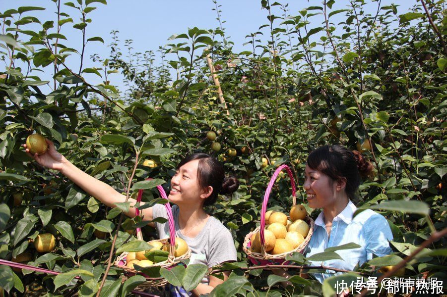 休闲|?助力乡村振兴！重庆发布140条夏季乡村休闲游精品线路