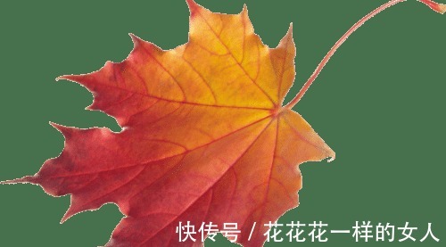 桃花运|10月人缘很旺，会招来桃花运，容易成功脱单的四个星座