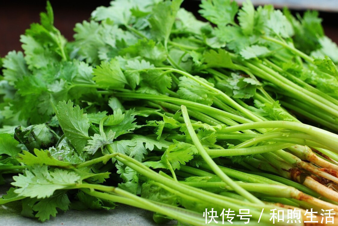 香菜|把香菜放到盒子里，存1年都不会坏，新鲜又翠绿，还能随吃随拿