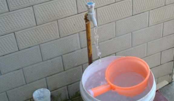 新人养花浇水，没掌握正确方法，别浇这3样“水”