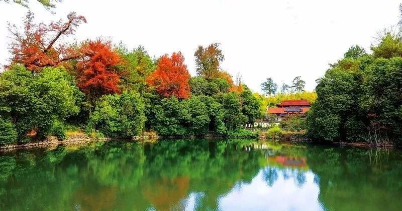 岩门|秋日最宜登高望远，缙云这些爬山好去处必须要知道！