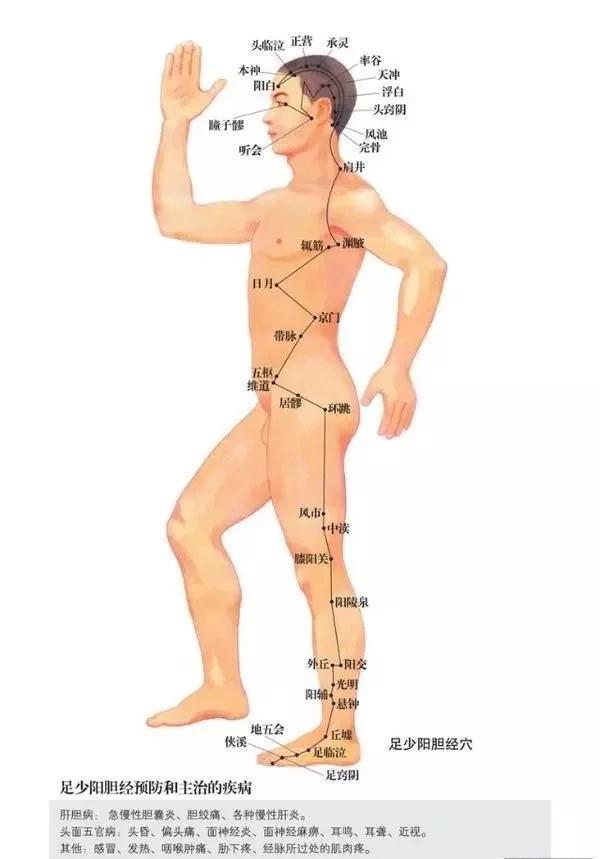 胆结石|胆经一通,万病无踪,一个穴位通肝胆,相关疾病全解决