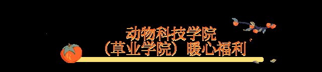 青岛农大|最强花式应援来了！这是属于青岛农大考研学子的专属温暖