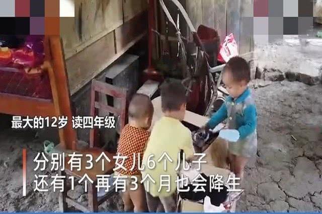 母猪|90后夫妻深居山林生了9个娃,10娃还在肚子里,网友:生育机器