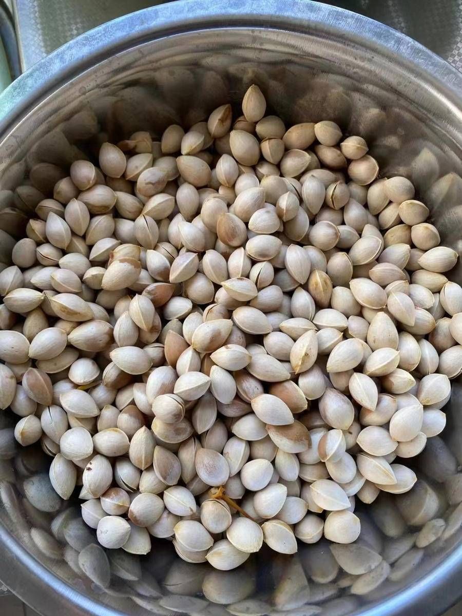 青未了|荒芜中照见的美好