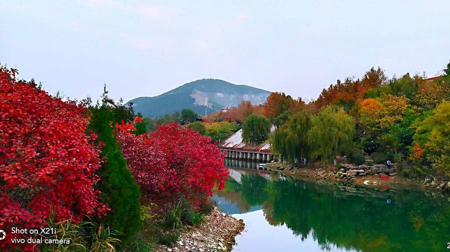 情报站|回首作别秋之际，历阳湖畔金鸡岭，这边依然“枫”景独好