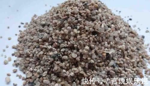 排水|养花不死,全靠盆土,用这个土养花,能活几十年