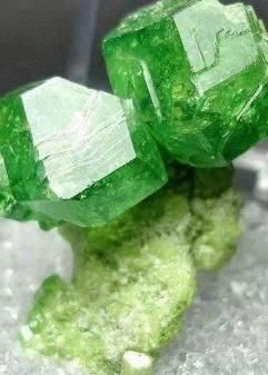 藏在广袤森林里的宝石矿