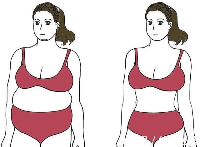 脂肪细胞 吸脂真的能做到想瘦哪里瘦哪里吗?吸脂术后都有哪些注意的呢?