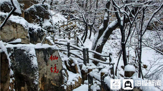 初雪 淄川美的不像话却像画|组图 | 初雪