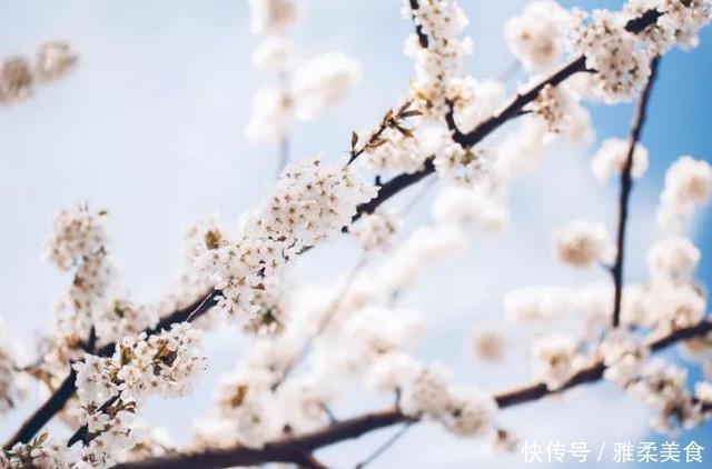 她出身微贱,却纠缠于两位名士之间,因一场官司名噪一时